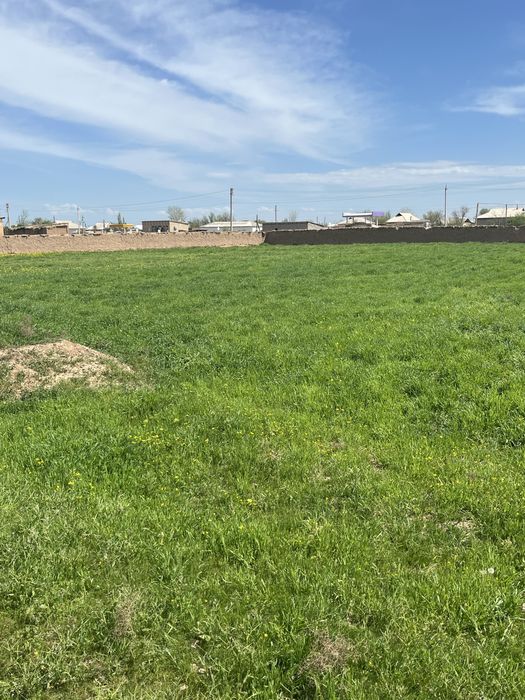 Hovli sotiladi.24 sutixli