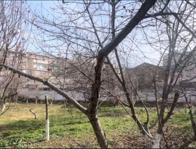 Мирзо Улугбекский район Карасу-6 земля под строительство фасад 50-метр