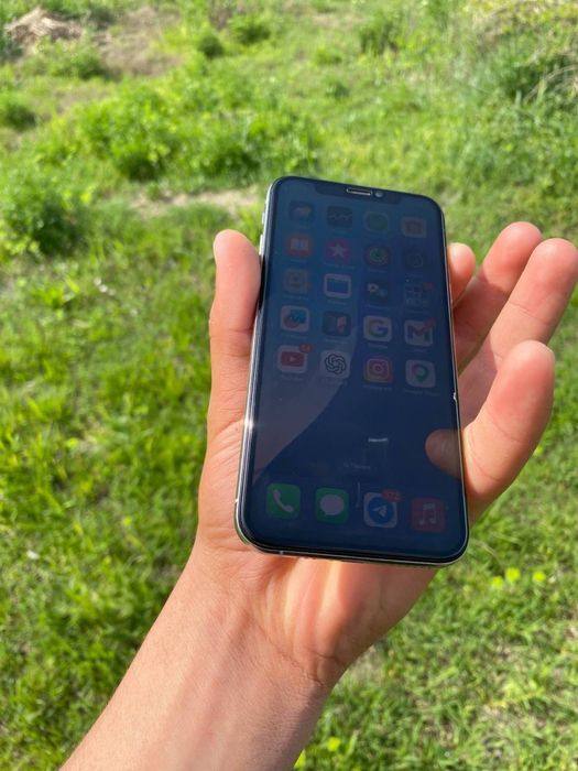 iPhone Xs  Radnoy       256/81  LLA