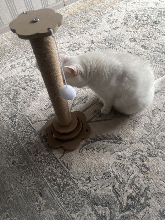 Когтеточку- игрушку для кошки продам