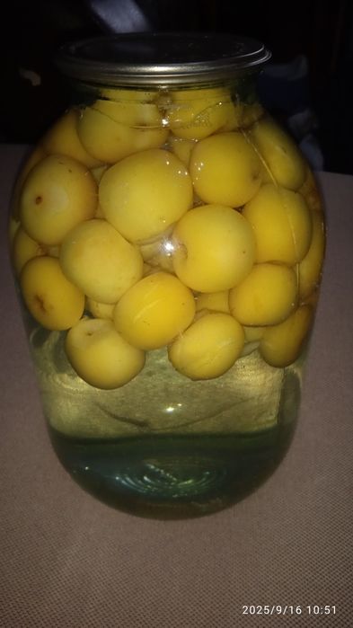 Компот почти даром.