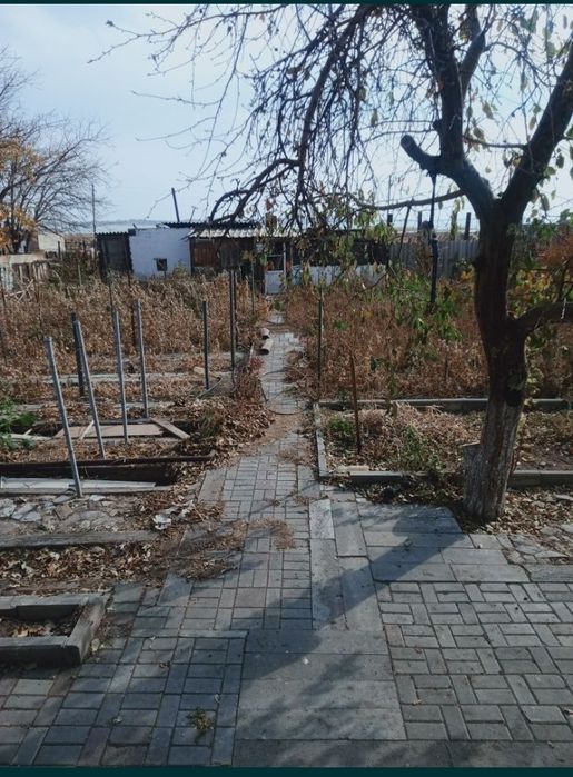 Дача в техснабе район теплицы