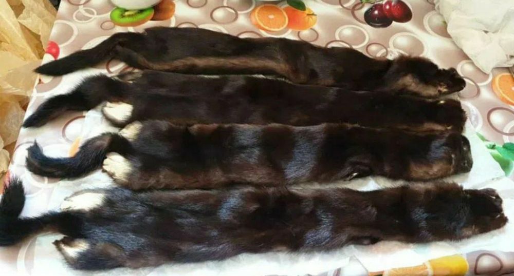 Шапка из песца и соболя. И шкурки соболя.