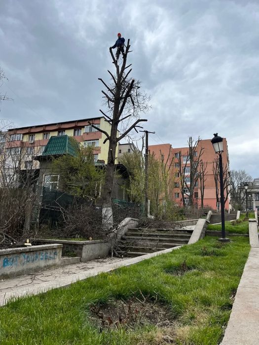 Alpinisti utilitari / termoizolatii/ toaletare copaci