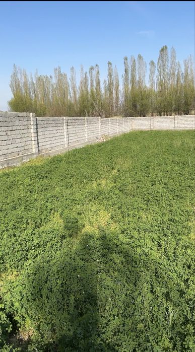 Янгийўл, М.Улугбек МФЙ, (Мирзабобоев)ер 10 сотих