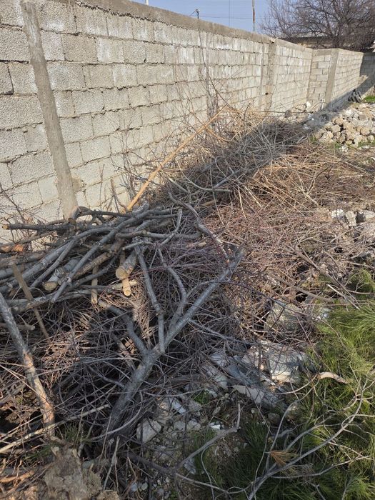 Утин - текинга, олиб кетиш шарти билан