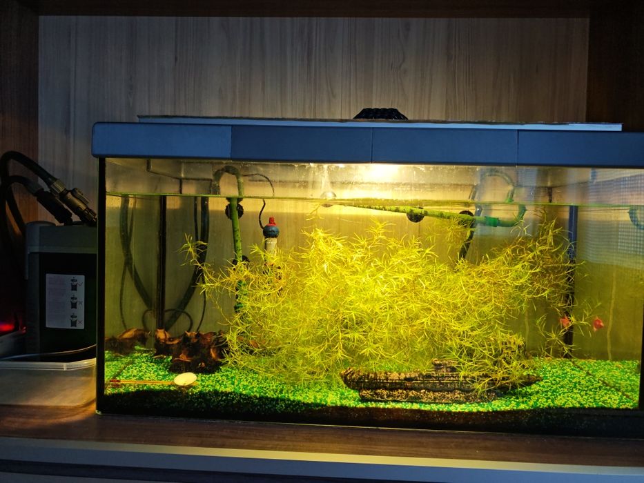 Аквариум с рибки, 120 литра