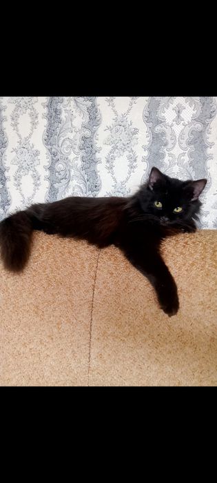 Одам добрые руки