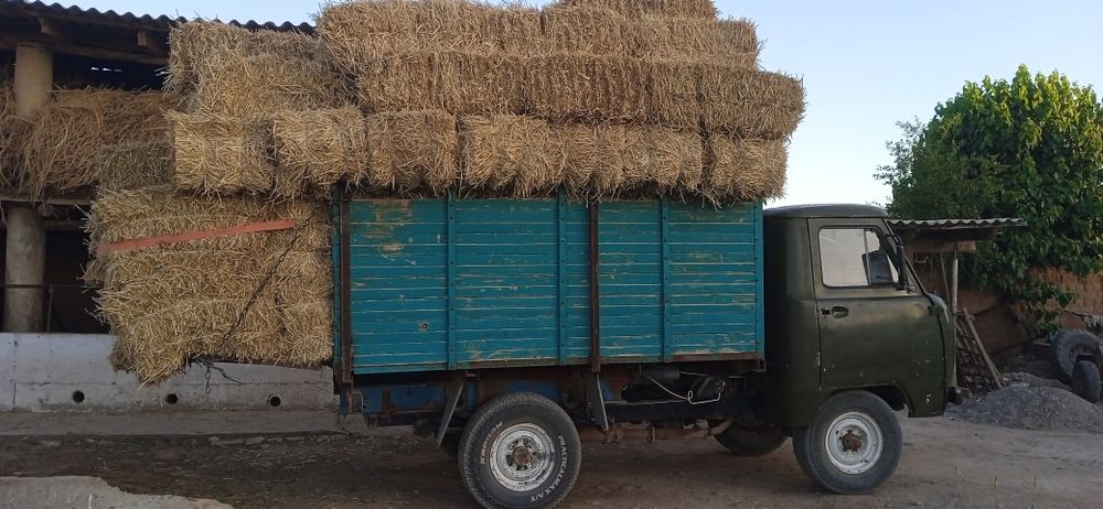 Uaz 452 yili 1984 gaz metan