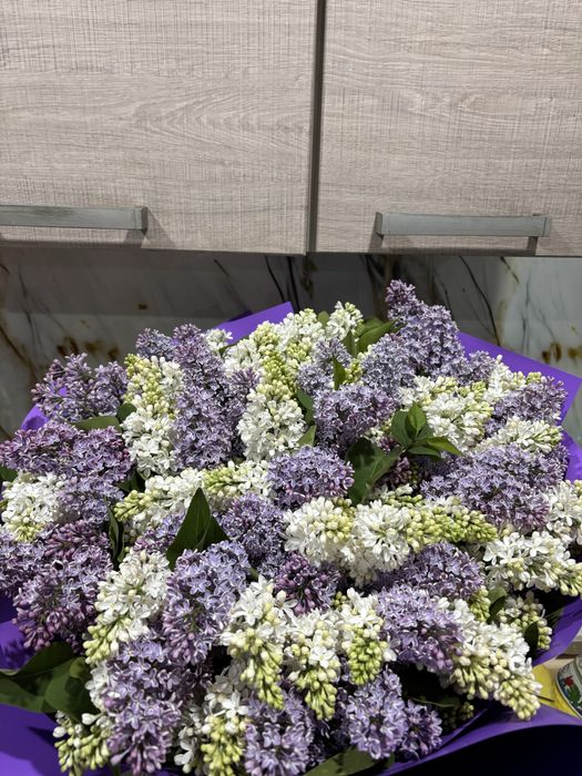 Цветы апрельский