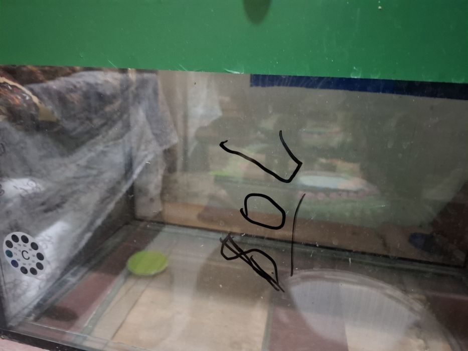 Аквариумлар Сотилади