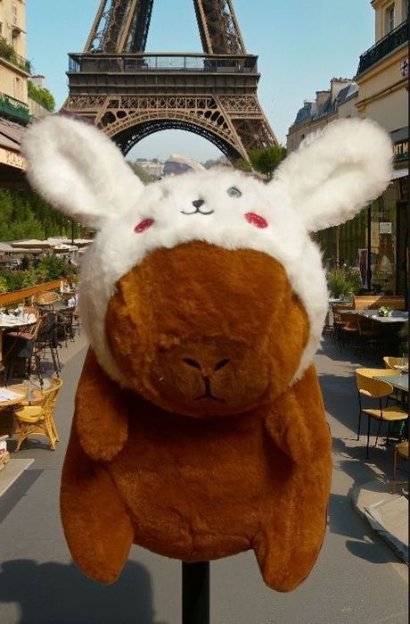 Красивые новые игрушки капибара