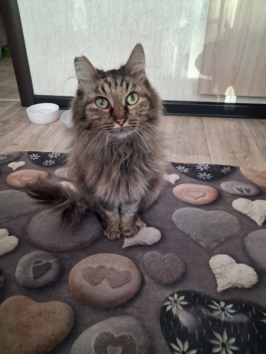 Была с пасена в морозы. В добрые руки