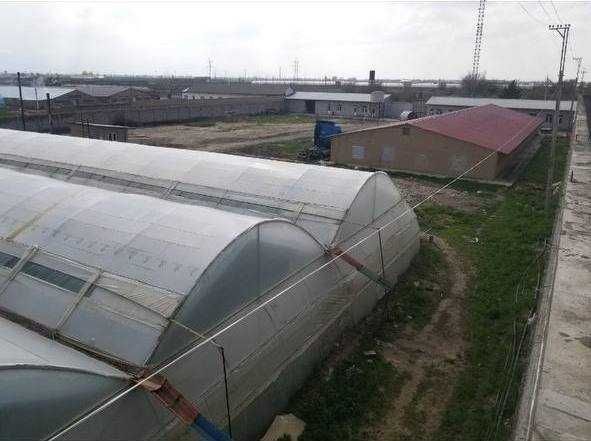 Продается парник и птицеферма