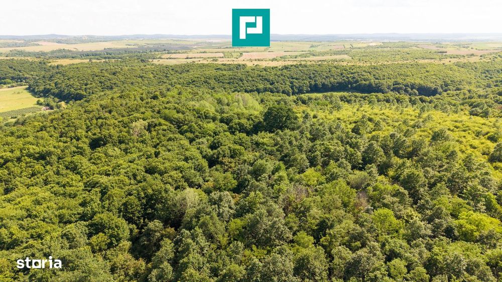 Teren Agricol Extravilan  22.900 Mp Lipova