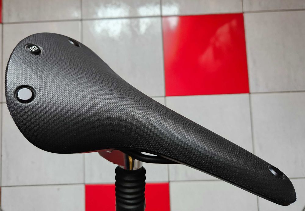 Sa bicicleta Brooks C17