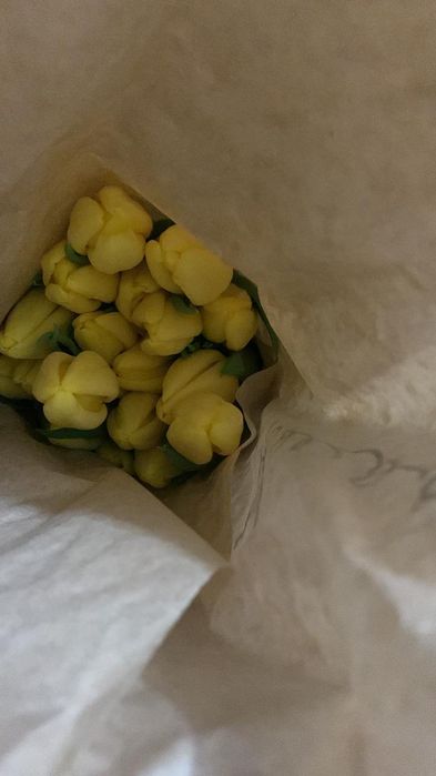 Тюльпаны предзаказ