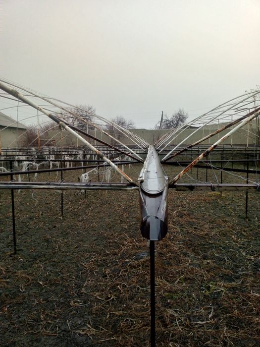 Теплиса сотилади