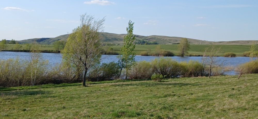 Загородный дом. 5км.