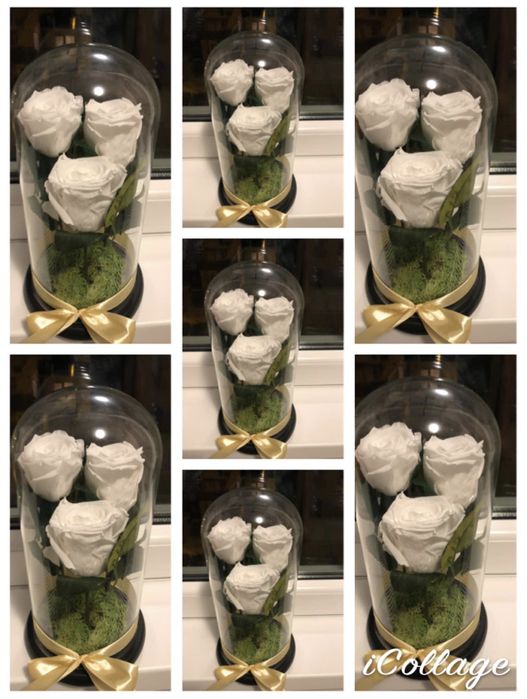 Cadou cupola cu 3 trandafiri criogenati diverse culori 250 lei