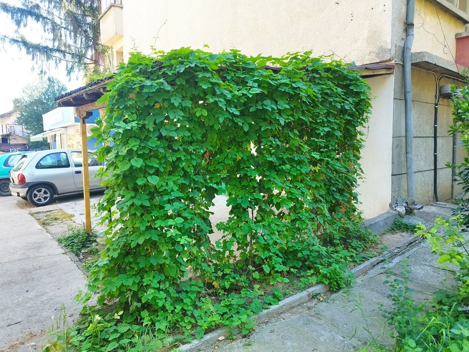 Дава се под наем Гараж / Паркомясто в Плевен, Широк център - 15 кв.м за 61.2 € - Снимка #9