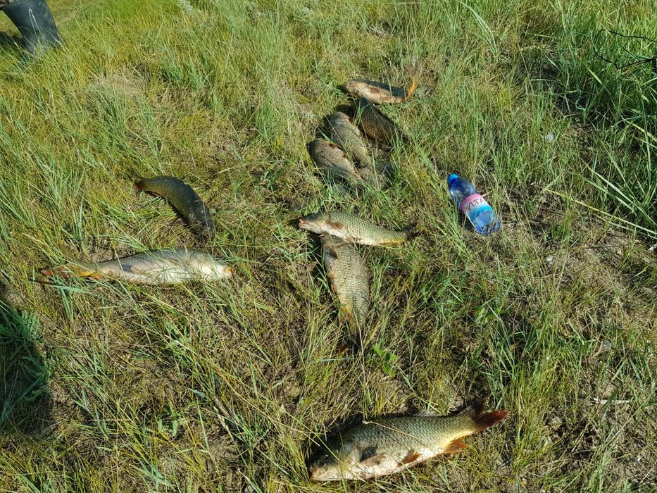 Рыбалка,выезд на рыбалку