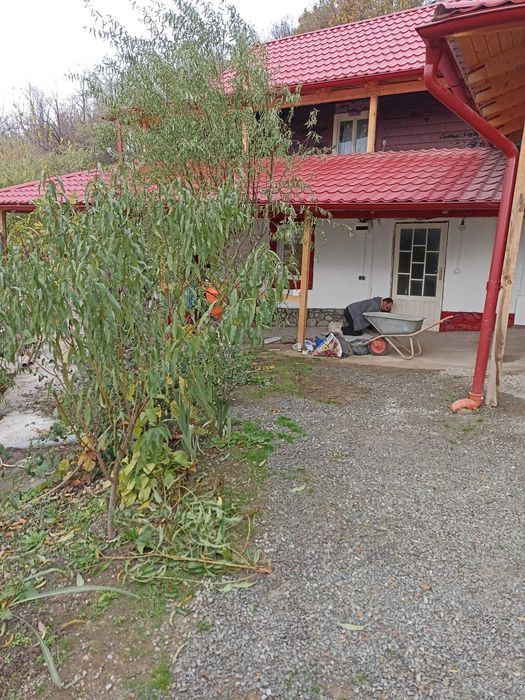 Vand conac de vanatoare in Defileul Dunarii