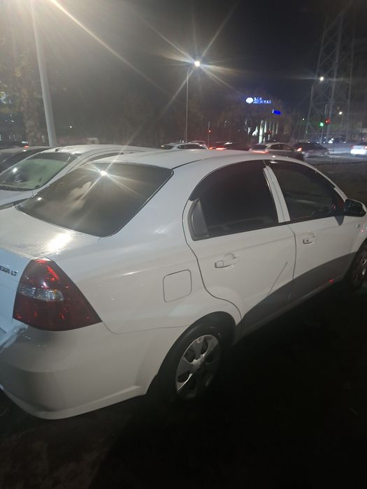 Некция 3 2019й краска тоза