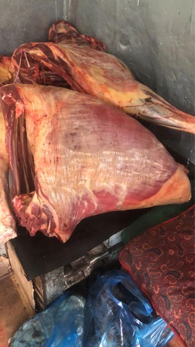 соғым келді екі жабағы