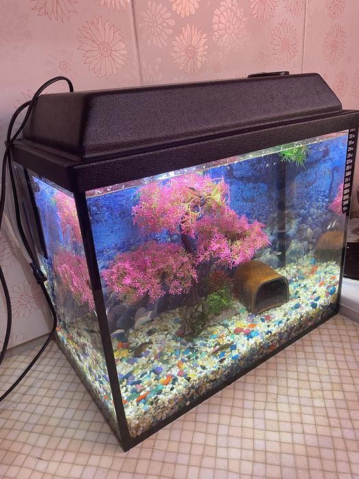 Аквариум 25 литров