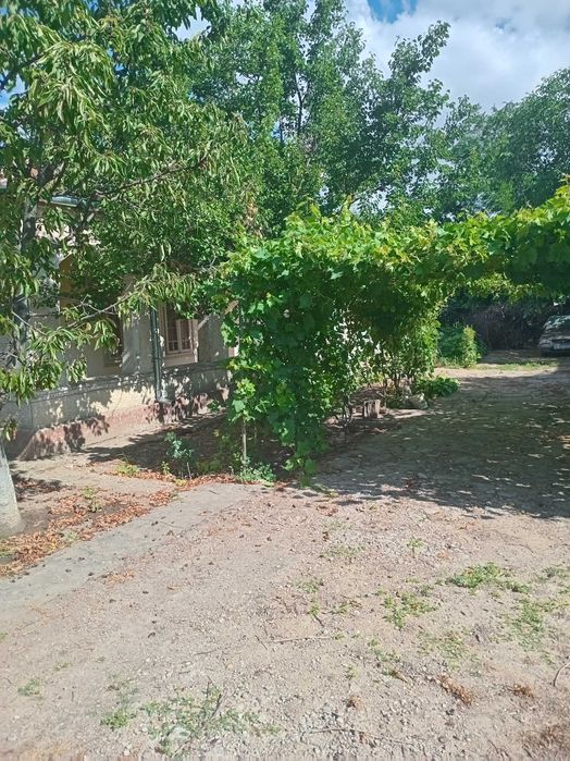 Vând teren intravilan şi casă bătrânească