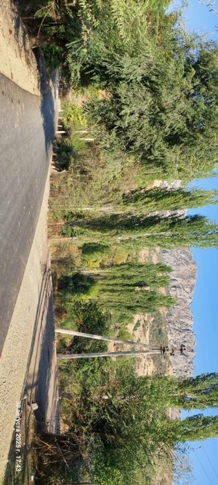 келтемашат жер телимы