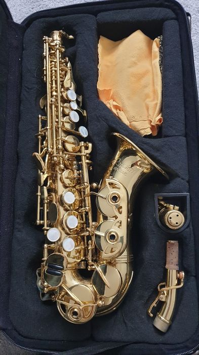 Saxofon incepatori