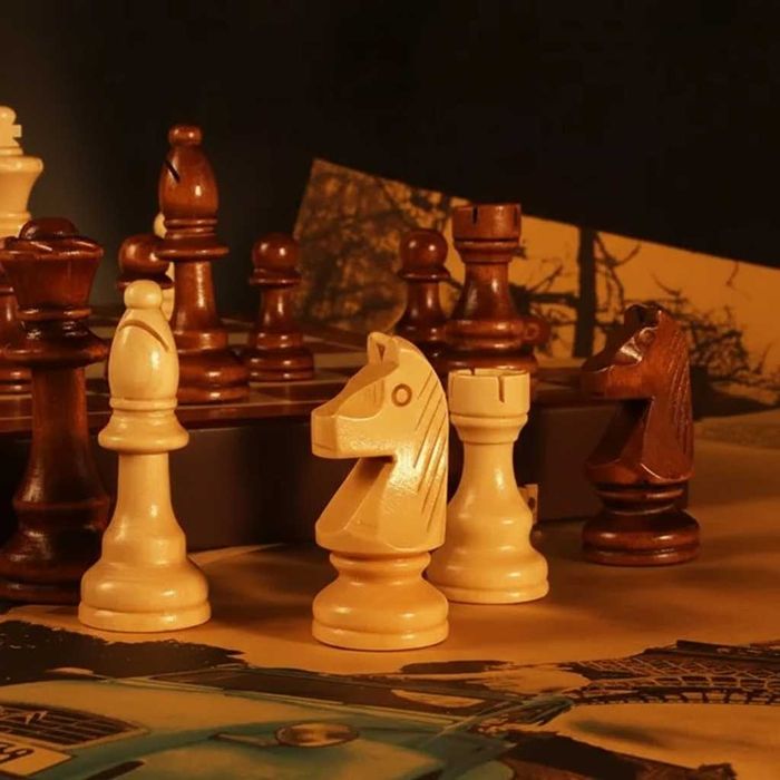 Set sah lemn premium pliabil 29x29cm depozitare cu spatii individuale