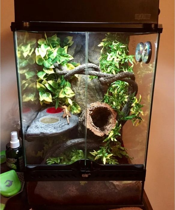 Террариум все включено