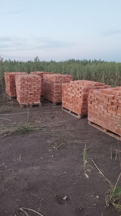 Красный женный кирпич