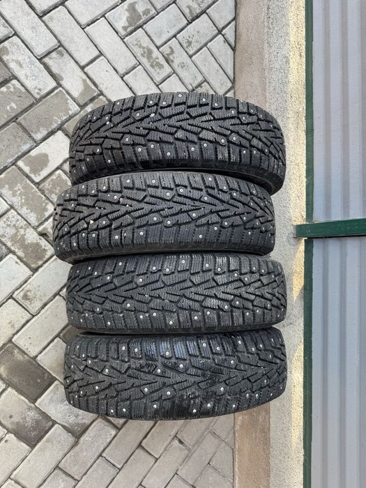 шина зимние Cardiant