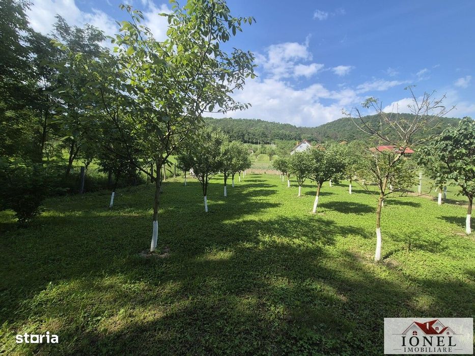 Teren intravilan 2292 mp in Vintu de Jos