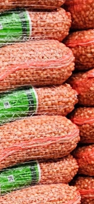 Vand usturoi de pus in pamant si de piata