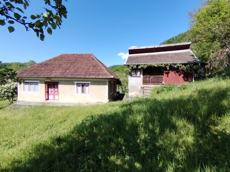 Vând casă cu teren în sat Ormindea comuna Băița