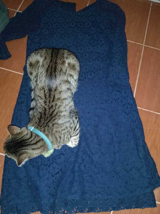 Lot haine fata măsură S