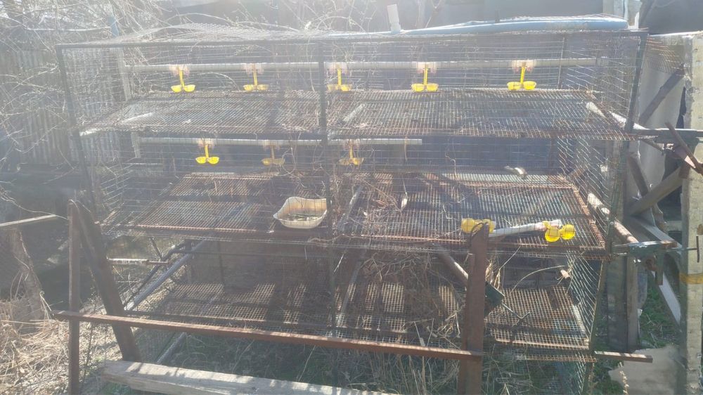 Клетка для перепелок для цыплят