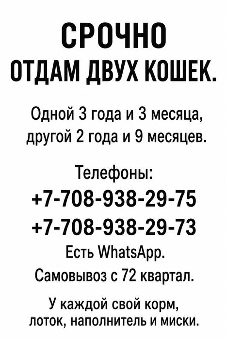 Срочно отдам кошек