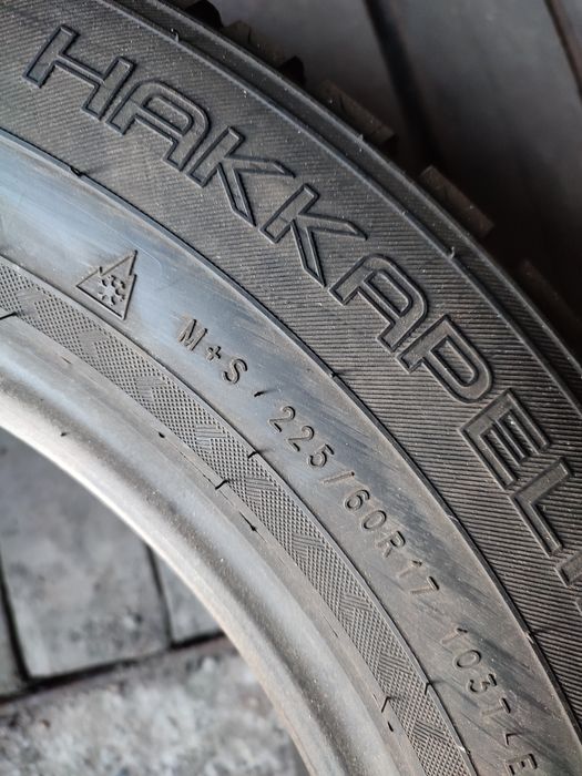 Нокиан, Данлоп зимняя