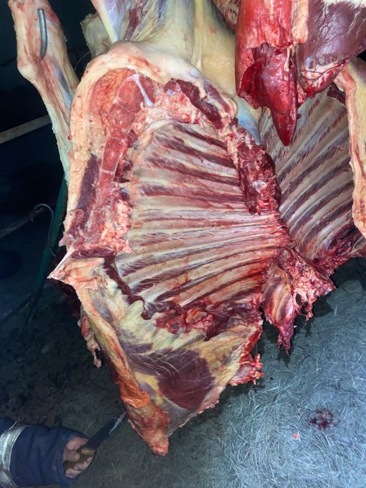 Кара малдын еты сатылады