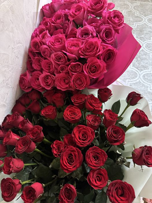 Продам б/у цветы разные
