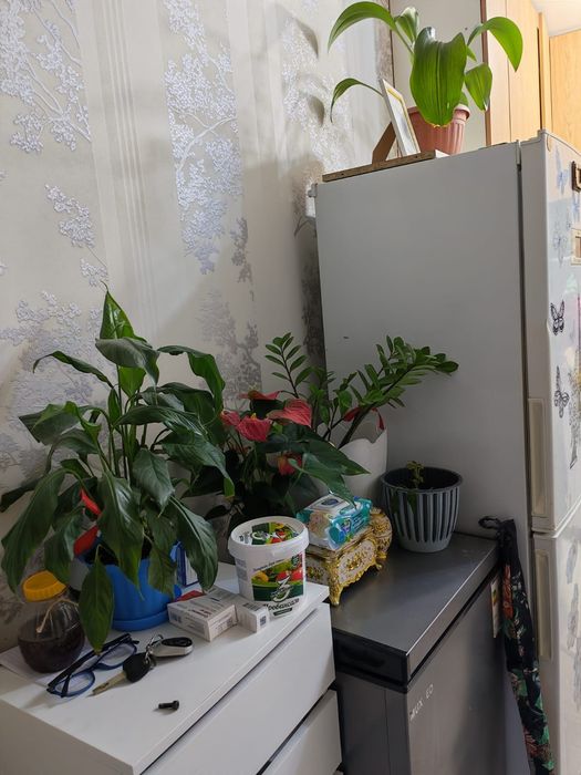 Холодильник lg..
