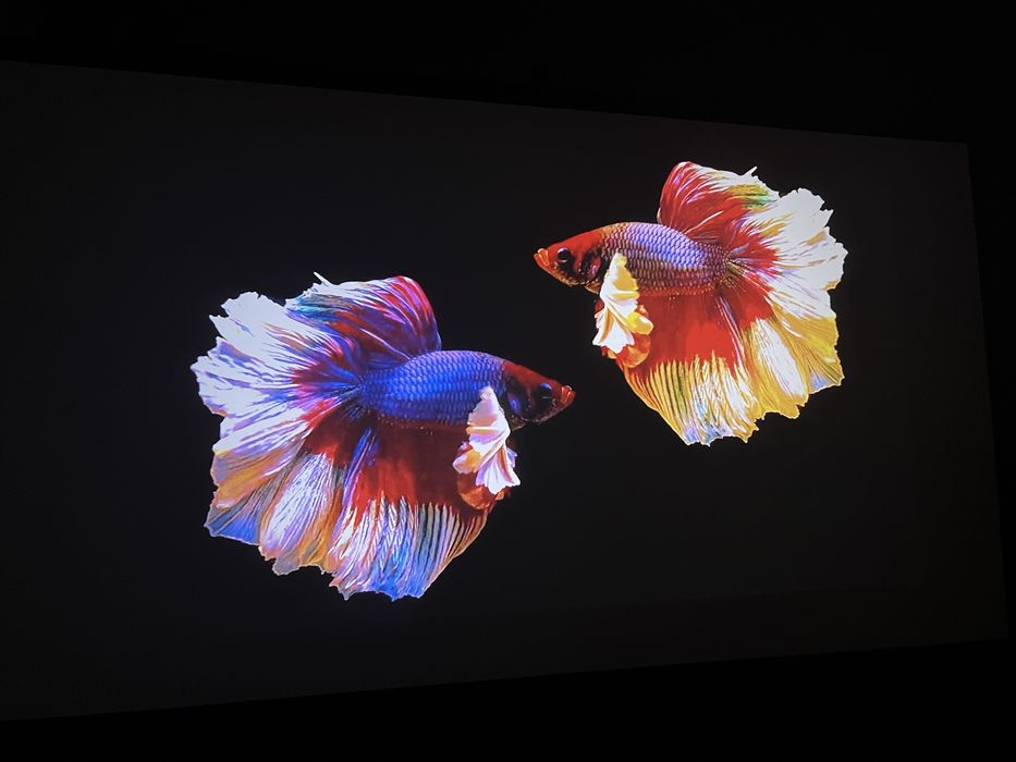 Продаю проектор, цена договрная