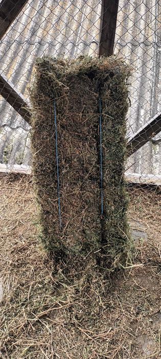 Baloti lucerna cu pret in functie de calitate