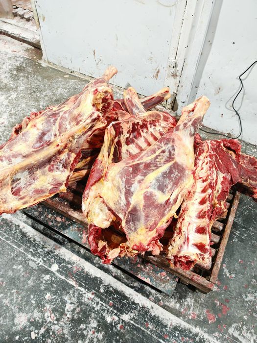 Мясо говядины конины тушами